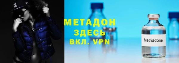 стаф Алзамай