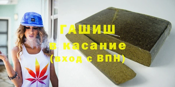 стаф Алзамай